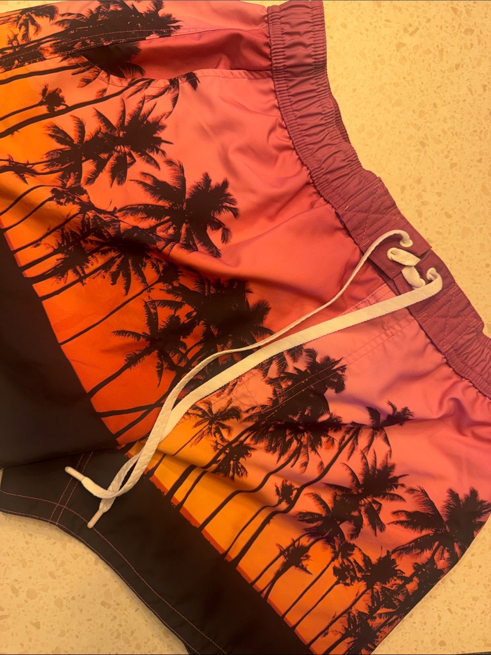2(X)IST Ibiza Swim Shorts - Sunset Palm Trees Print XL